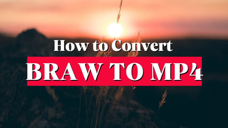 braw to mp4 converter