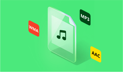 Audio File